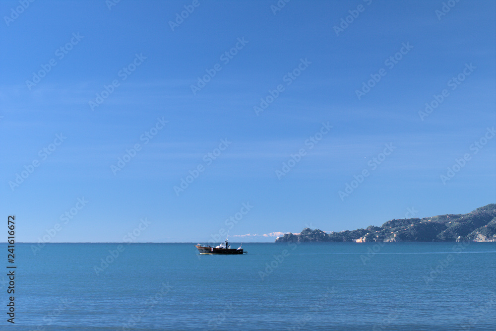 ship in the sea,boat,promontory,italy,horizon,tourism,water