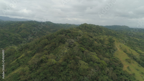 Aerial view of mountains covered forest  trees. Cordillera region. Luzon  Philippines. Mountain landscape in cloudy weather.