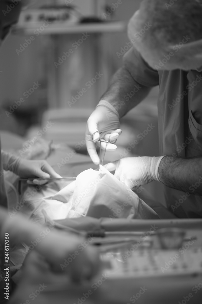Dentist doctor's hand in protective glove with a tool while working