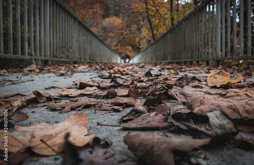 Bridge full of of fallen leaves 