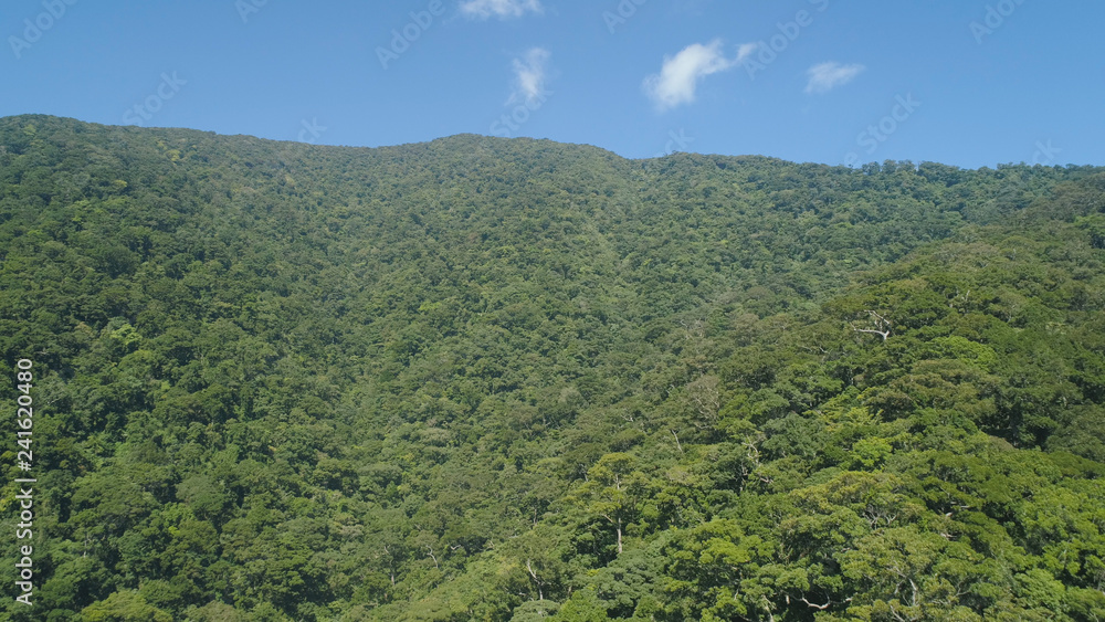 Aerial view of mountains with green forest, trees, jungle with blue sky. Slopes of mountains with tropical rainforest. Philippines, Luzon. Tropical landscape in Asia.