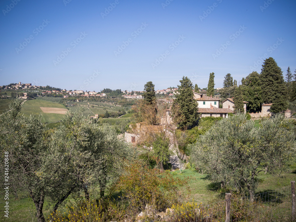 Agriculture landscape, old town, olives and wine of Tuscany in october chianti italy