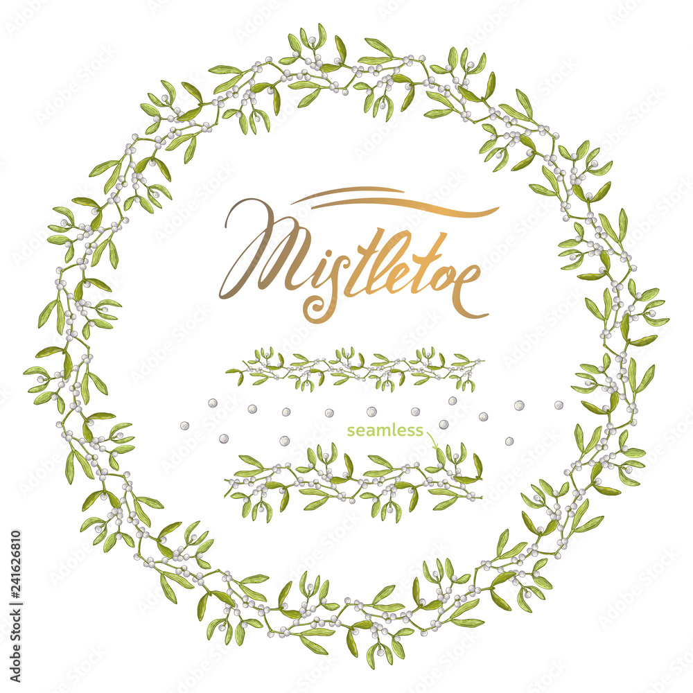 Branch of mistletoe with berries. Vector Traditional Christmas wreath holly plant. Decorating for national Festive on white background. xmas design template