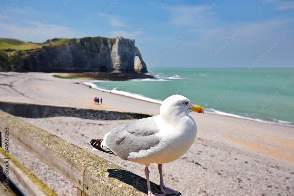 Fototapeta premium Etretat