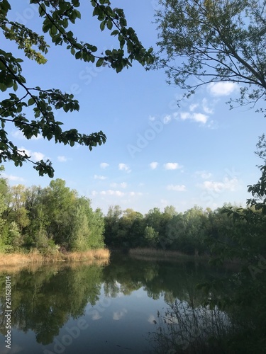 By the Lake photo