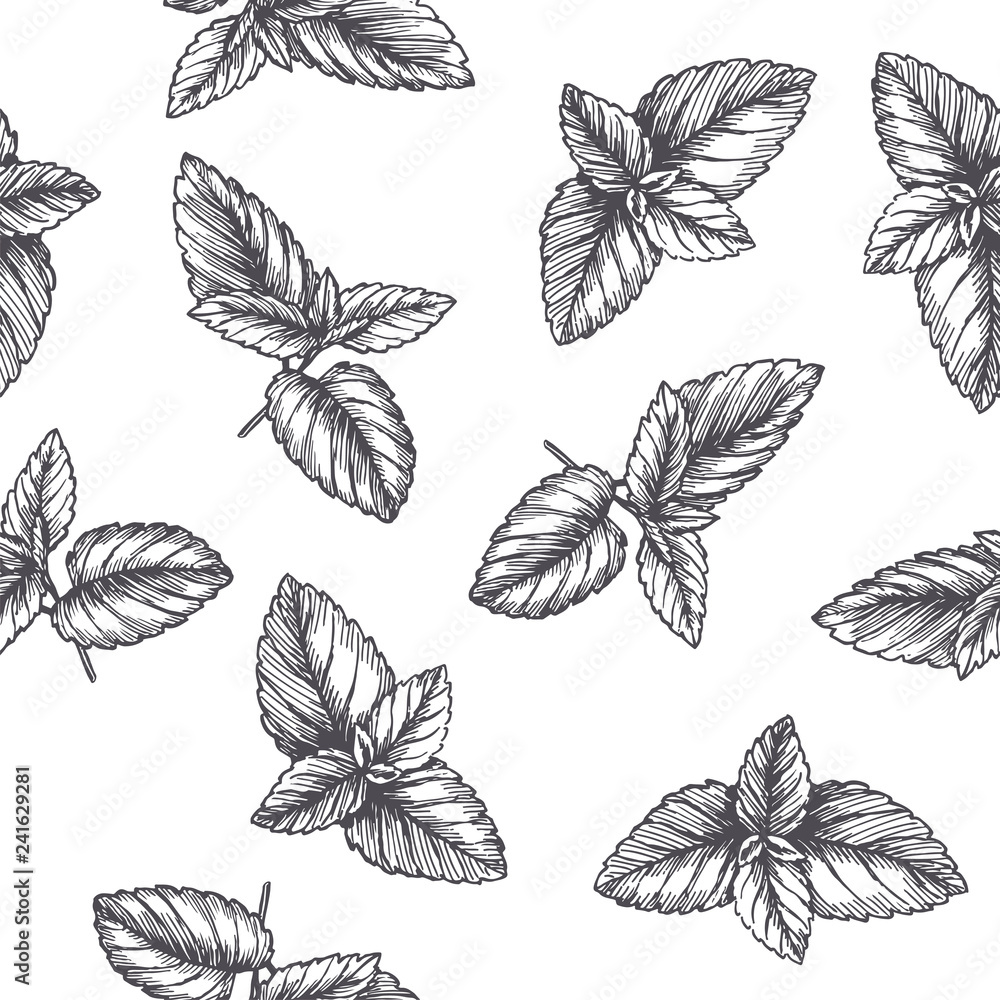 Vector vintage seamless pattern with mint leaves in engraving style. Hand drawn botanical texture with peppermint tips isolated on white. Black and white sketch. Herbal ingredient.