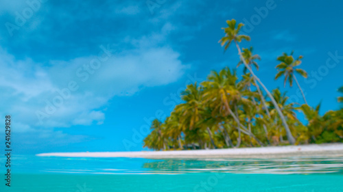 COPY SPACE: Tall palm trees cover unspoiled white sand beach on One Foot Island © helivideo