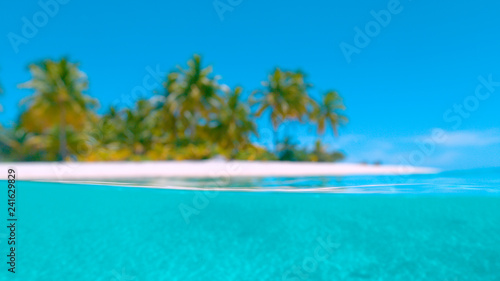 Fototapeta Naklejka Na Ścianę i Meble -  HALF UNDERWATER: Blurred shot of the sandy tropical beach and turquoise ocean.