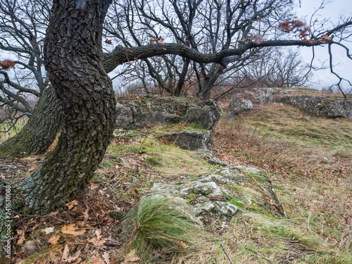 Schützner Stein am Goldberg im Burgenland photo