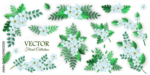 Vector spring white flowers with leaves pattern collection. Beautiful apple tree or cherry blooming floral for romantic decoration wedding marriage or dating card vintage design. Gentle illustration