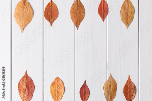 Autumn composition, flat lay. Dried autumn red orange leaves isolated on white wood table with copy space top view. Nature, season and decor concept