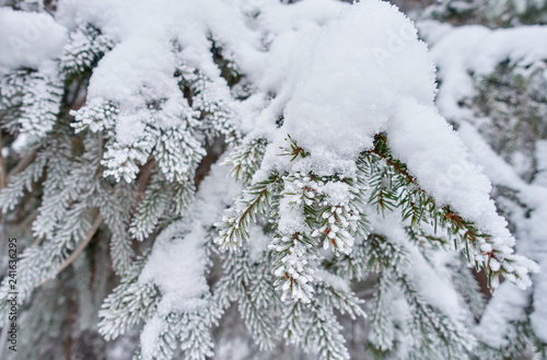 Whte beautiful natural winter background © Teemu Tretjakov