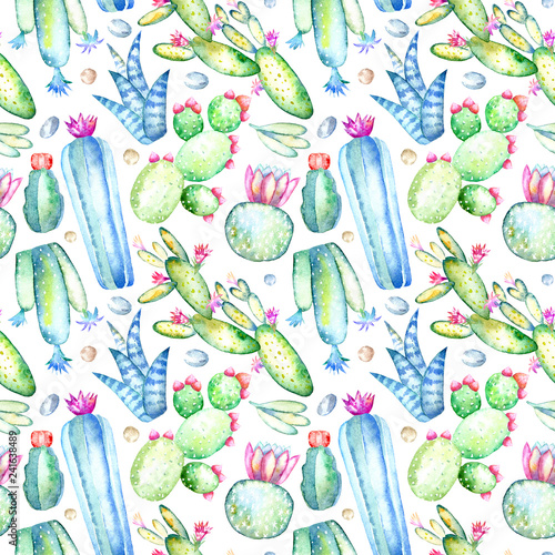 Seamless pattern of a cactus, sikkulent and floral.Watercolor hand drawn illustration.White background. photo