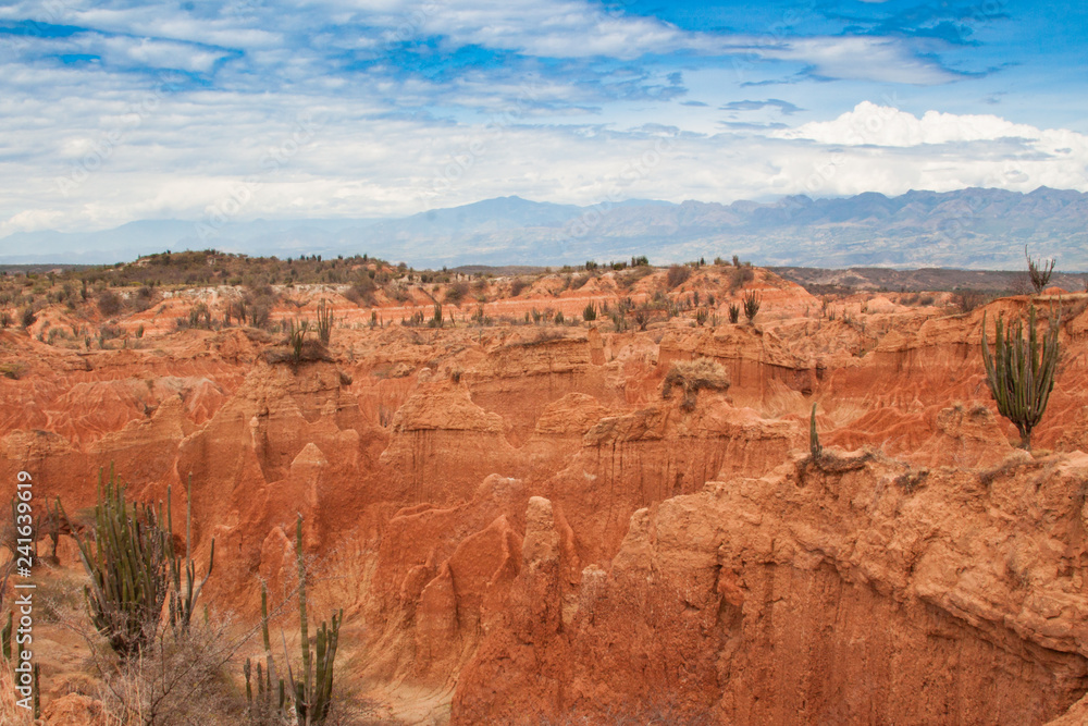 horizonte desierto  