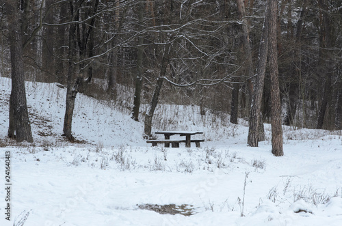 bench in the park in the snow in winter