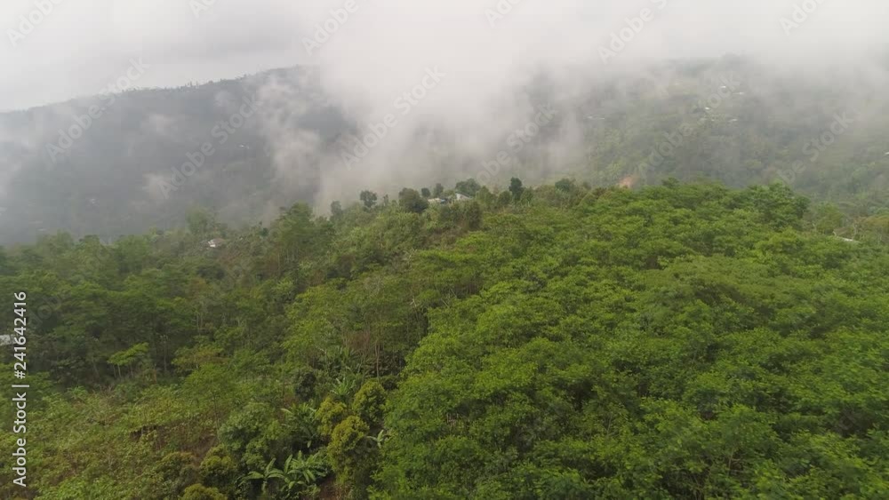 clouds and fog in rainforest. agricultural land, farmlands in rainforest covered clouds, fields with crops, trees. Aerial view farmers houses in jungle. tropical landscape Bali, Indonesia. clouds and fog in rainforest. agricultural land, farmlands in rainforest covered clouds, fields with crops, trees. Aerial view farmers houses in jungle. tropical landscape Bali, Indonesia.
