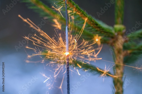 A sparkler with orange and yellow light placed on a green spruce tree  blurry grey background  winter party celebrating New year