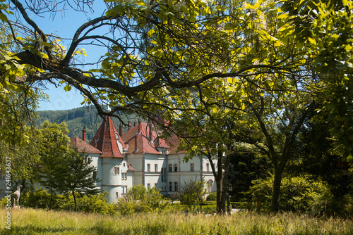 Schönborn Castle