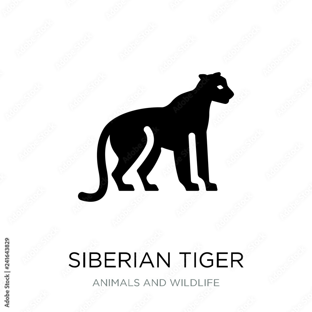 siberian tiger icon vector on white background, siberian tiger t