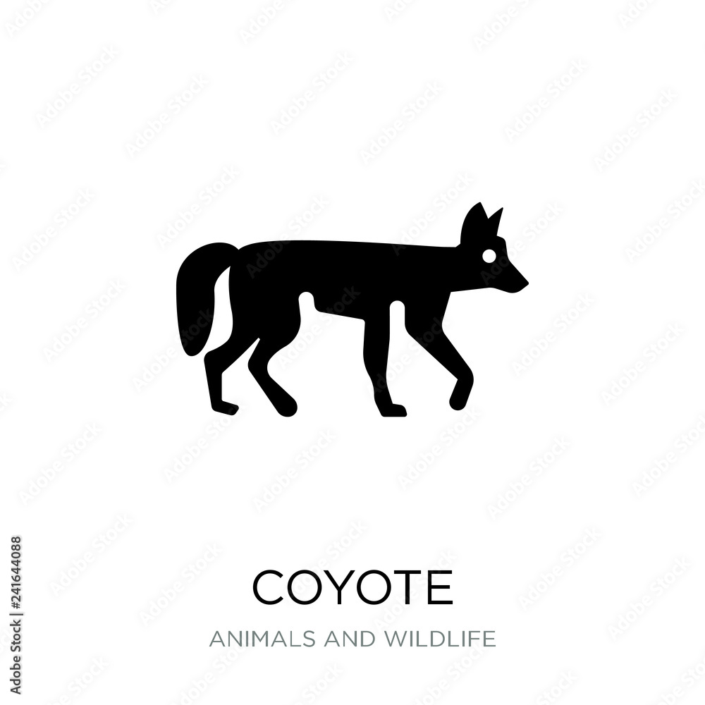 coyote icon vector on white background, coyote trendy filled ico