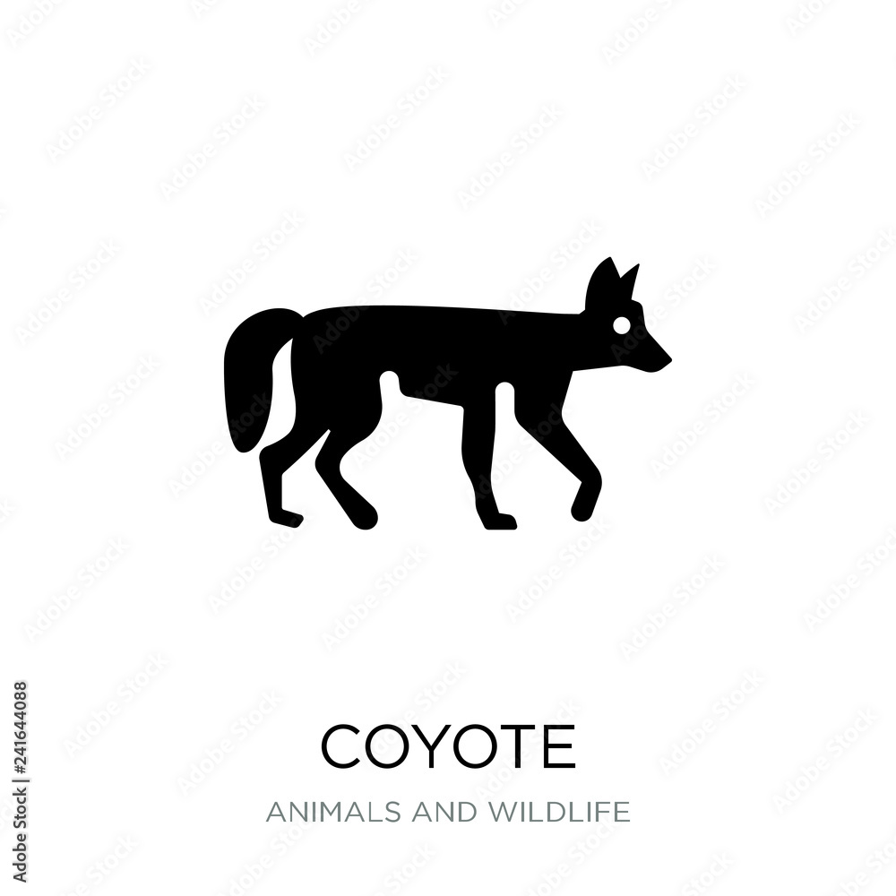 coyote icon vector on white background, coyote trendy filled ico coyote icon vector on white background, coyote trendy filled ico