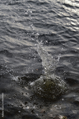 Wallpaper Mural water splash Torontodigital.ca