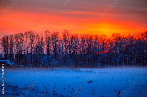 Winter Landscape with Snowy Forest at sunset