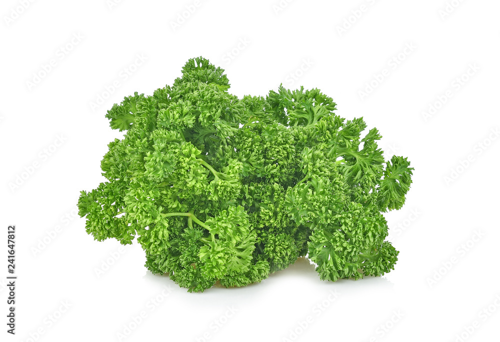 parsley isolated on white background parsley isolated on white background