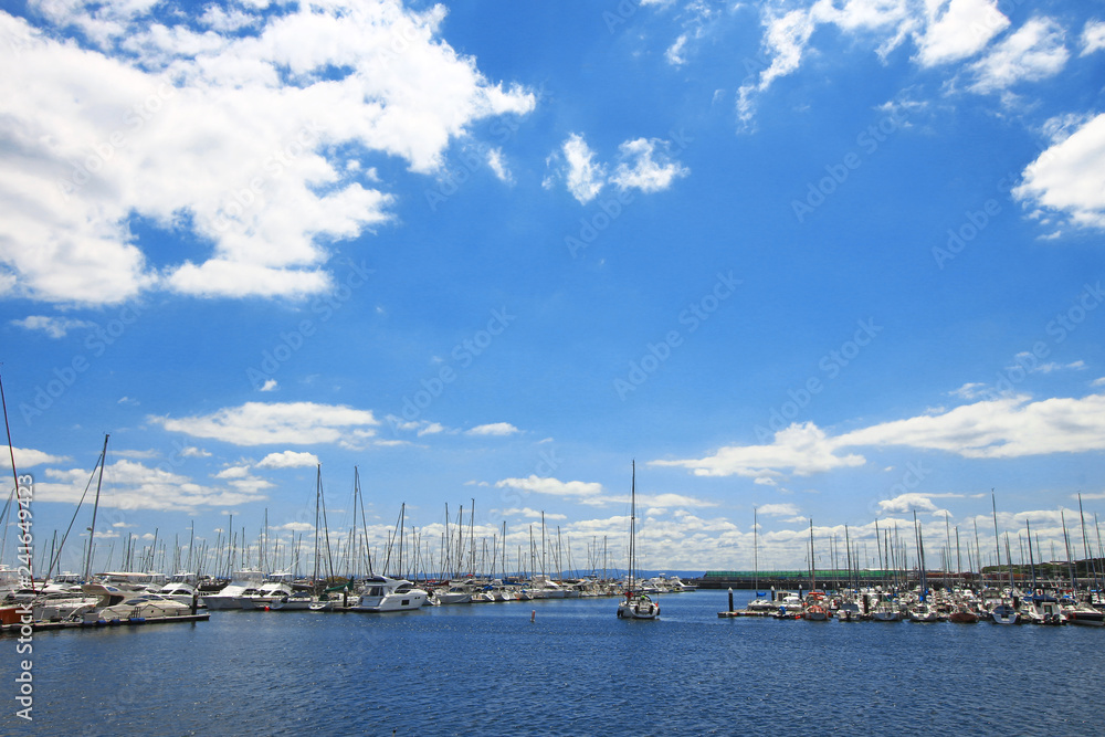 Marina with lots of sailboats