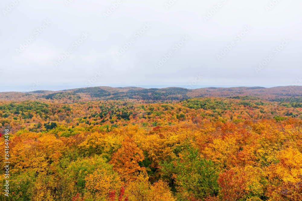 Colorful tree canopy in Porcupine Wilderness State Park