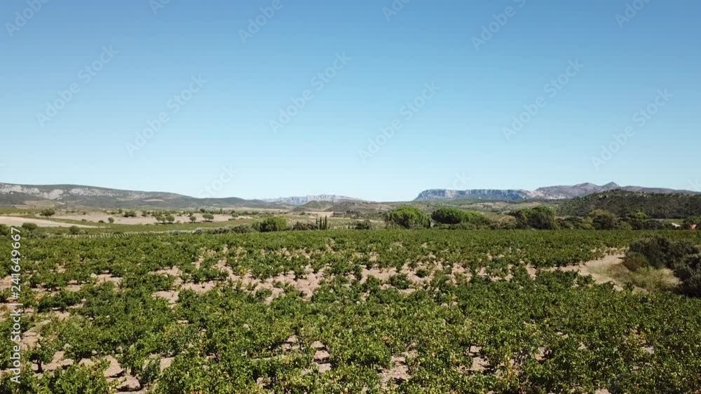 Aerial view of french vineyard and mediterranean hill in eastern pyrenean, Fenouilledes in the southern of France Aerial view of french vineyard and mediterranean hill in eastern pyrenean, Fenouilledes in the southern of France