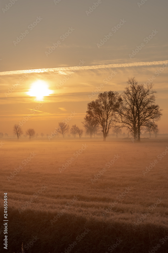 morning light in winter