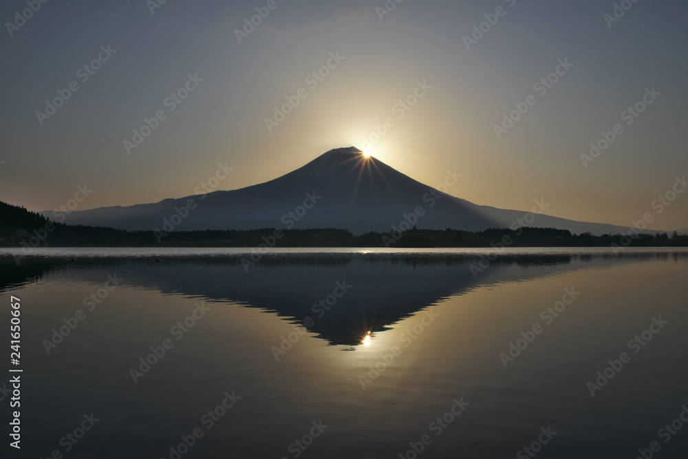 田貫湖から見た朝のダイヤモンド富士