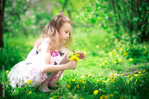 A girl with long curly hair in a long white dress collects dandelions in spring. Happy baby on a walk. Kids without gadgets.