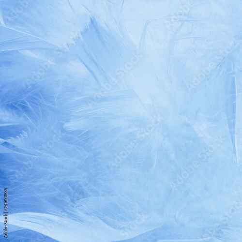 Abstract blue tone feathers background. Fluffy feather fashion design vintage bohemian style pastel texture.