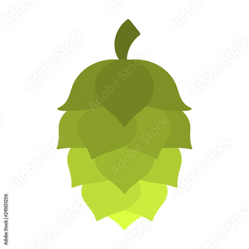 Green Hop - Green hop commonly used in beer production isolated on white background