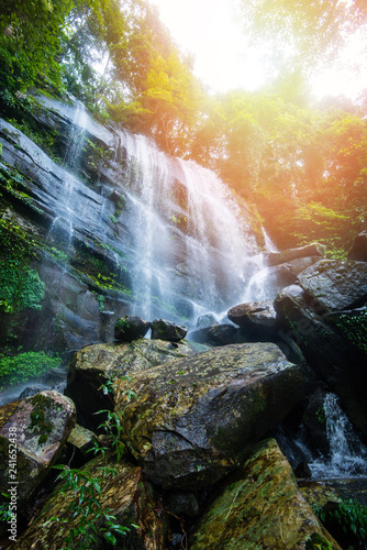 Fototapeta Naklejka Na Ścianę i Meble -  Jungle beautiful waterfall Mountain river stream Landscape waterfall green forest nature plant tree rainforest with rock