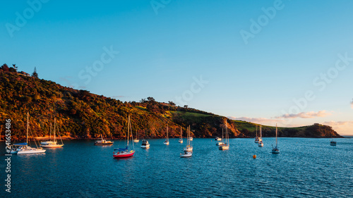 Waiheke Island, New Zealand photo