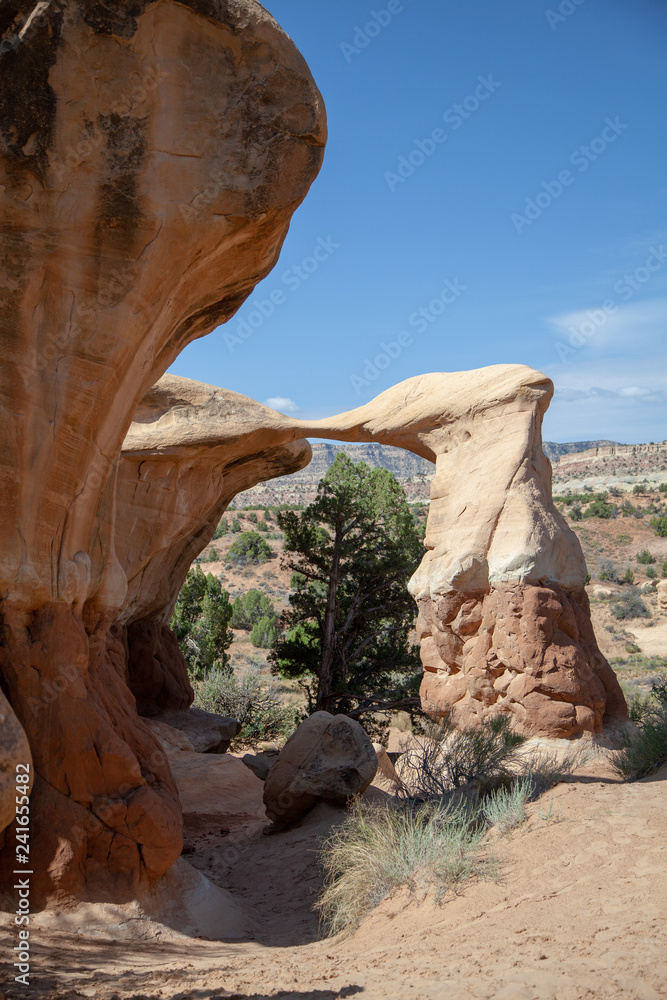 A Remarkable Arch