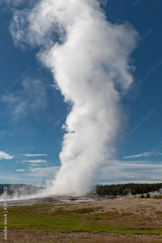 Eruption of Old Faithful geyser at Yellowstone National Park USA