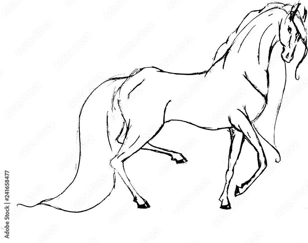 Obraz premium Alice's Horse