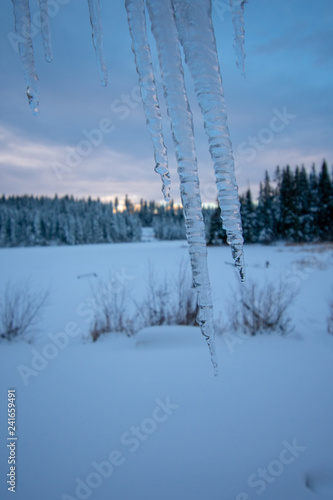 Icicles Beginning to Melt After Winter Snow © TSchofield