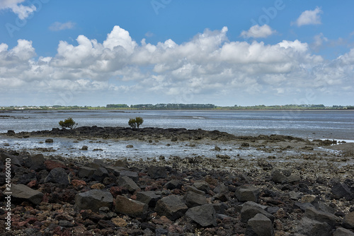 An inlet at low tide revealing marshy ground with lava rocks