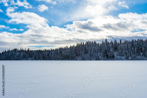 Sunshine on Fresh Snow © TSchofield