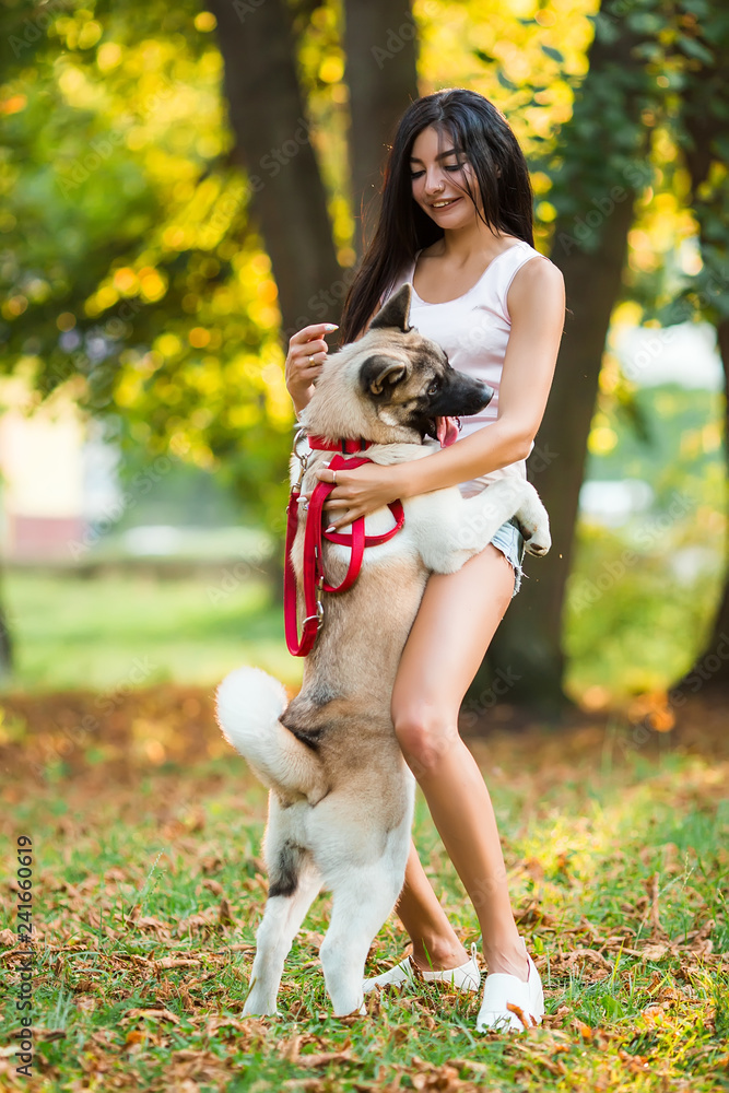 Beautiful woman playing with a dog walking in the park. Beautiful woman playing with a dog walking in the park.