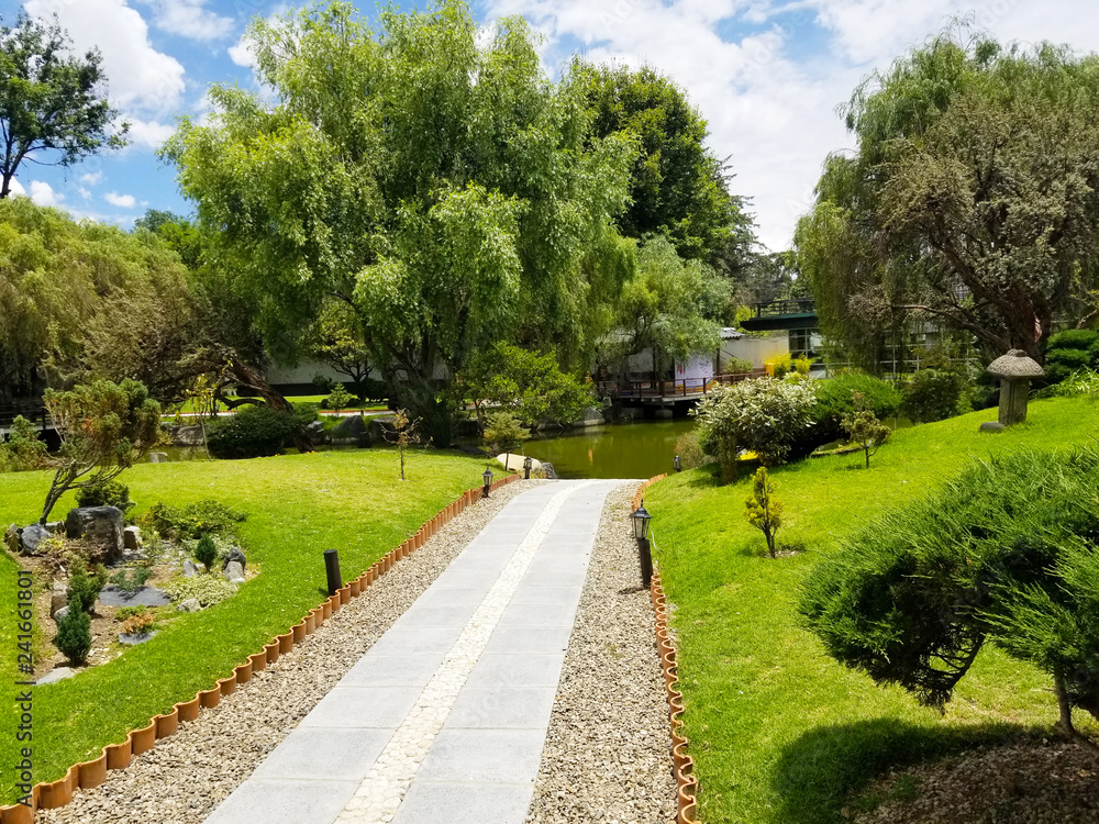 Fototapeta premium Japanese garden