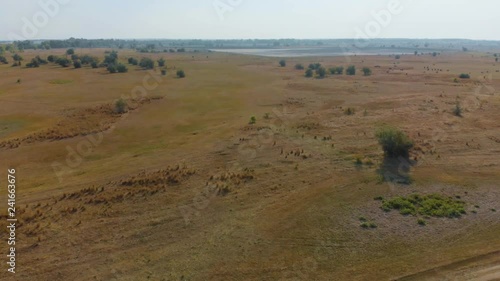 Drone footage of the field just before the fall when all crops had been harvested.