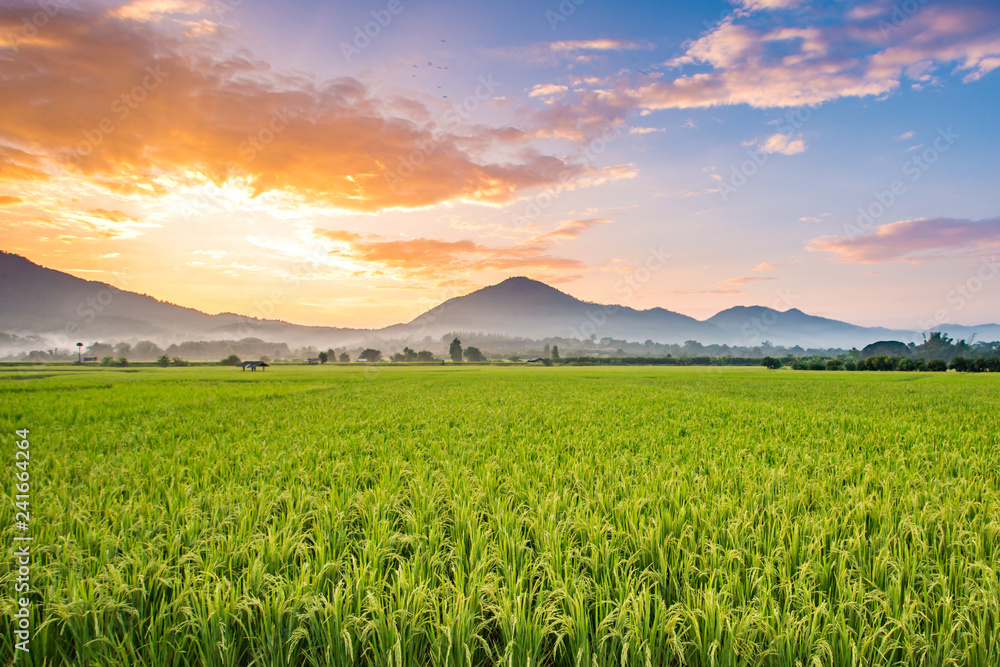 Beautiful sunset over the paddy fields at Phrao, Chiang Mai, Thailand.