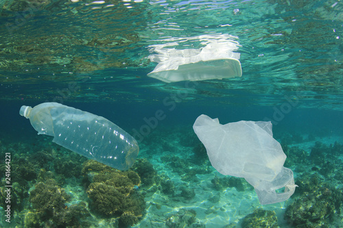 Plastic bottles, bags and styrofoam containers pollute coral reef  © Richard Carey