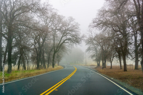 Driving on a day with heavy fog and low visibility, California